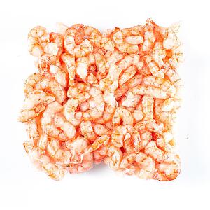 GAMBA PREMIUM 500 GRS